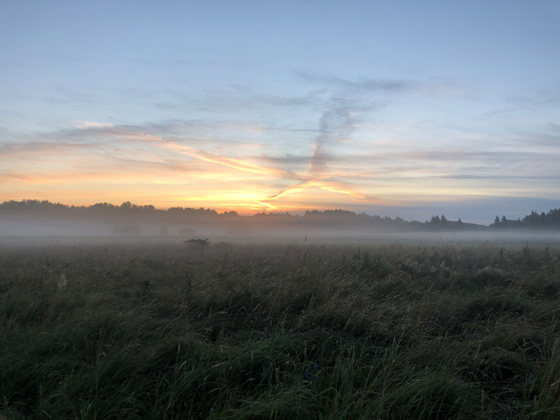 Morgenstimmung auf den Wiesen hinter unserem Haus