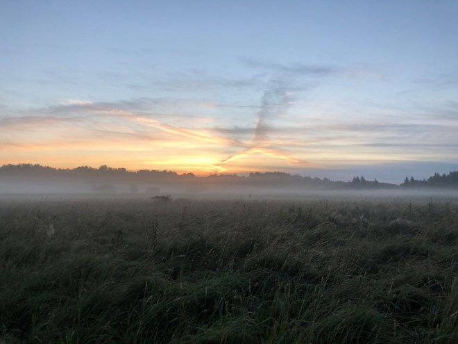Morgenstimmung auf den Wiesen hinter unserem Haus